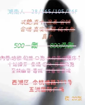 西湖区大熊姐姐